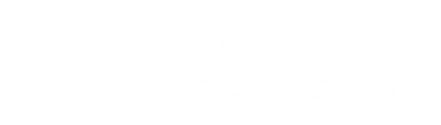 Professional Technicians